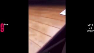 TRY NOT TO LAUGH
