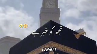Naat shreef