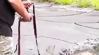 Awesome video ????