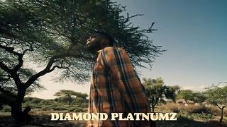 Diamond platnumz - Zuwena