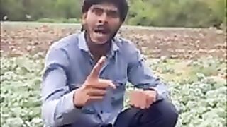 Funny videos