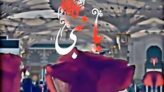تیرے در دا سوالی ہاں میں یا نبی