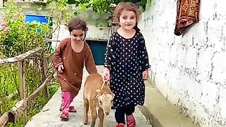 Beauty of kashmir