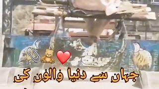 پاکستانی قوم