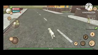 Dog life!!!!