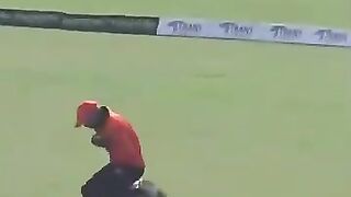 Good Catch