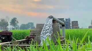 Evening in village #simple life