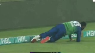 Cricket