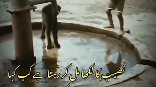 Veriy_best_vedeoshorts_