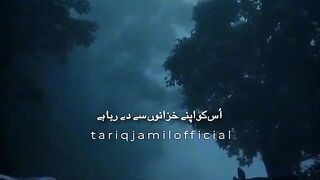 Molana Tariq Jamil