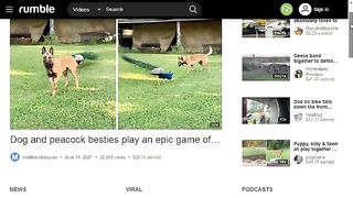 Зарабатывайте бесплатные Новый видеохостинг Куда разместить видео и заработать