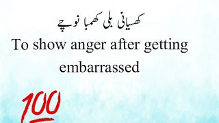 To show angerکھسیانی بلی