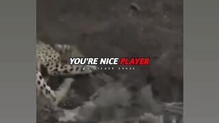 Attitudeskull