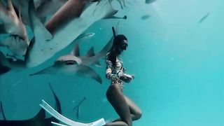 The Underwater World  Подводный мир ????