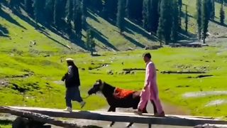 Kalam Valley