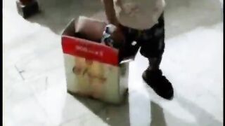 FUNNY VIDEO