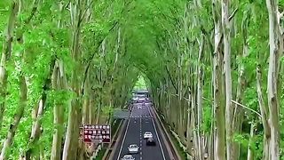 Road to Nanjing, China ???????? Дорога в Нанкине, Китай ????????