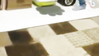 Funny Cat Playing