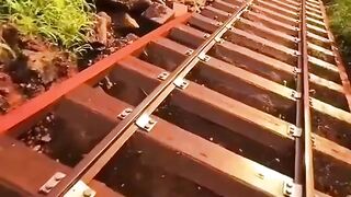 Walk on the Koko crater railway to Honolulu Гонолулу, Гавайи ⛰ Гавайях "Гонолулу"