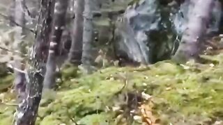 "Breathing" land in the Canadian forest ???? «Дышащая» земля в канадском лесу ????