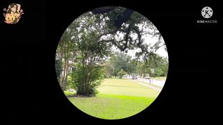 Daily Vlog| Guess the place & Win $20 #vlog #trending #win #dollar #earnmoney #fishing #lake #2023