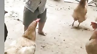 Funny video