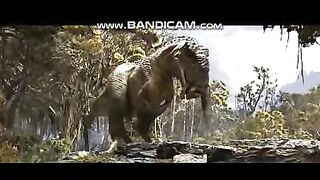 Pets and Animals 21-2-2023-5