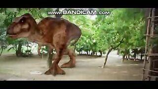 Pets and Animals 21-2-2023-10