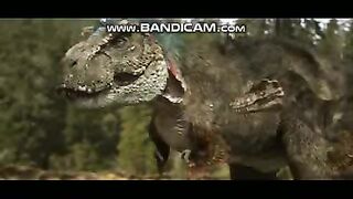 Pets and Animals 21-2-2023-11