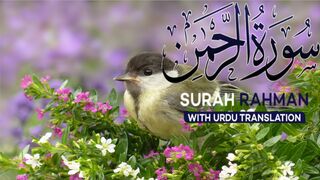 Surah Rahman With Urdu Translation Full | Episode 22 | Quran Tilawat Tarjuma | Tappyala Islamic