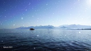 Relaxing in winter with Nature