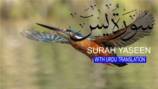 Surah Yasin | Yaseen with Urdu Translation | Episode 21 | Beautiful Quran Recitation | Tappyala
