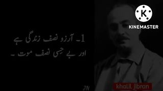 best urdu quotes to learn good lesson