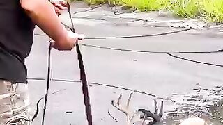 Awesome video ????
