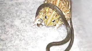 Awesome video ????