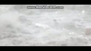 Flood 2