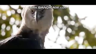 Pets or Animals Videos 22-2-2023-2