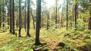 Relaxing in winter with Nature