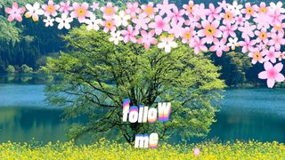 beautiful flower and tree