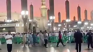 MASHALLAH ❤️❤️❤️❤️