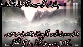 Saeed Anwer last talk with junaid jamshed shaheed
