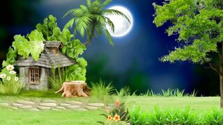 beautiful moon