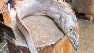 Knife Fish Cutting