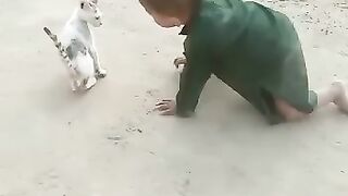 Best Fight Baby Vs Cat