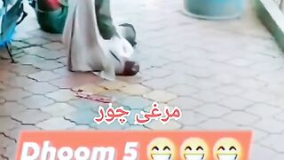 Murgi chor