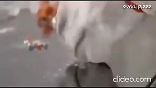 Donkey on fire ???????????????????? Full of fun