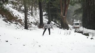Snowman