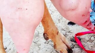 Feeding littles goat's