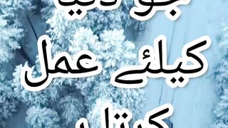 Imam Ali A.S Quotes