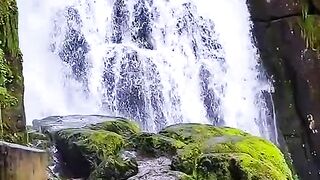 Landscape in japan